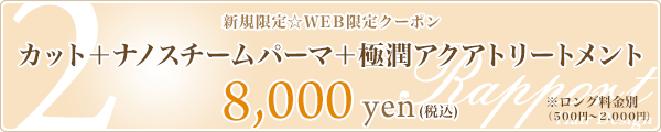 2. カット+ナノスチームパーマ+極潤トリートメント☆8,000円☆