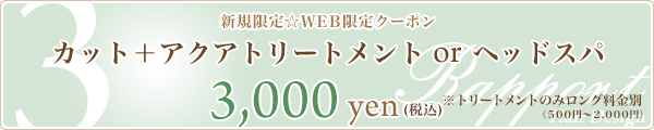 3. カット+アクアトリートメントorヘッドスパ☆3,000円☆