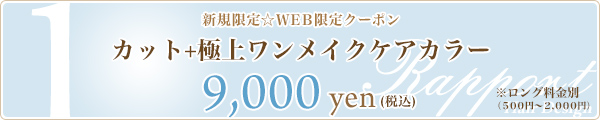 1. カット+極上ワンメイクケアカラー☆9,000円☆