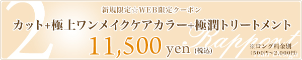 2. カット+極上ワンメイクケアカラー+極潤トリートメント☆11,500円☆