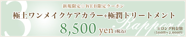 3. 極上ワンメイクケアカラー+極潤トリートメント☆8,500円☆