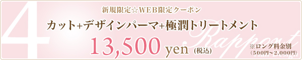 4. カット+デザインパーマ+極潤トリートメント☆13,500円☆