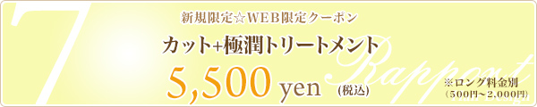 7. カット+極潤トリートメント☆5,500円☆