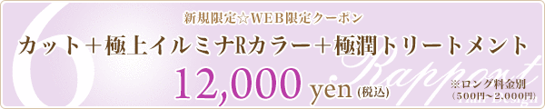 6. カット+極上イルミナRカラー+極潤トリートメント☆12,000円☆